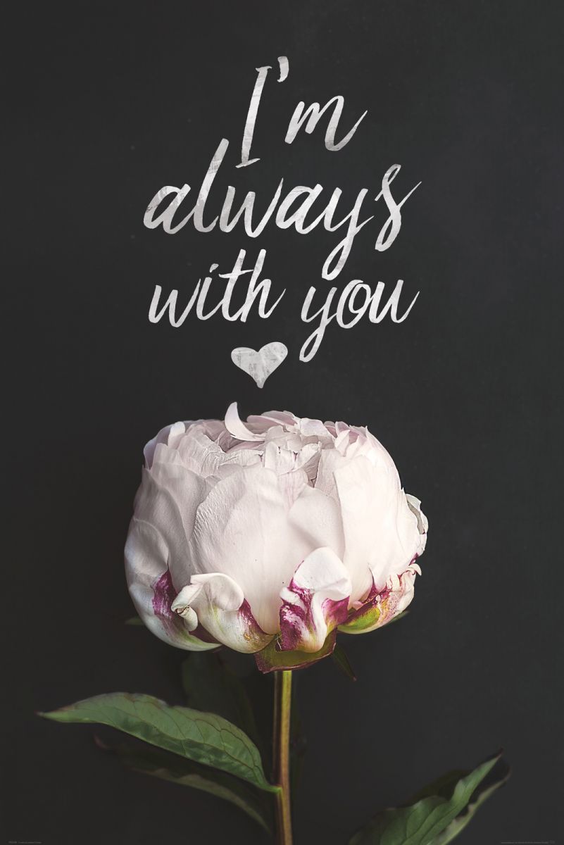 I'm with you always - plakat | sklep Nice Wall