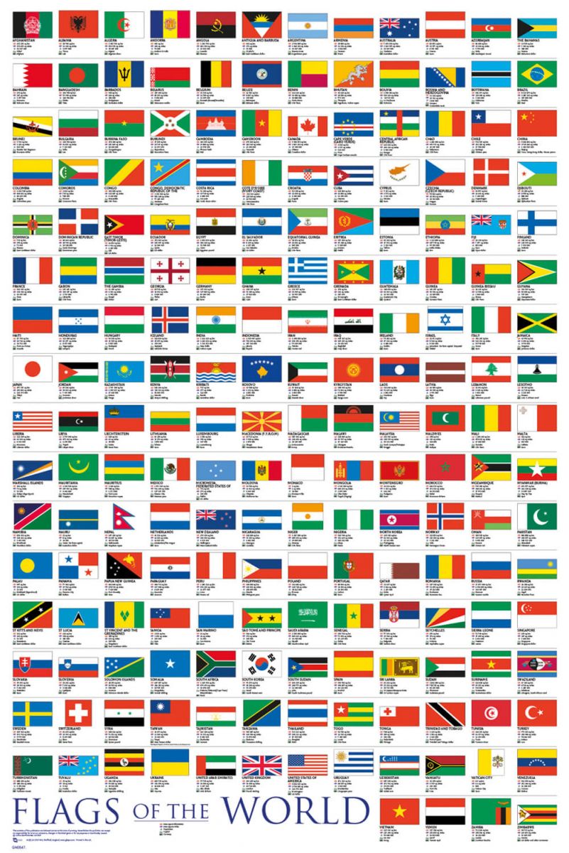 zam-w-plakat-geograficzny-wszystkie-flagi-pa-stw-sklep-nice-wall