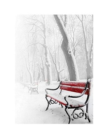 reprodukcja przedstawiająca czerwoną zaśnieżoną ławkę w parku