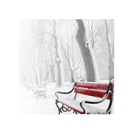 reprodukcja z czerwoną ławką w śniegu