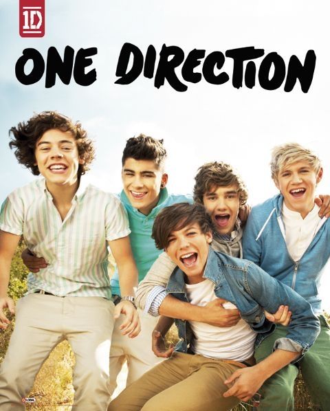 Chłopaki z zespołu One Direction na plakacie z naszego sklepu