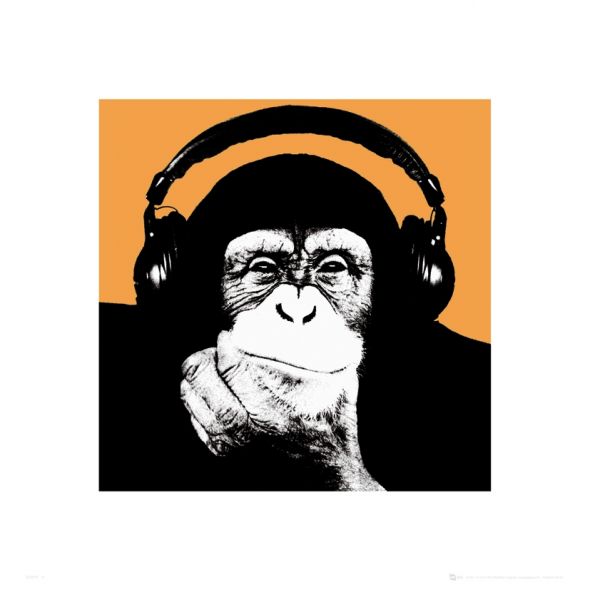 Steez Monkey z słuchawkami na uszach