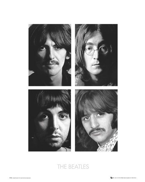 The Beatles White Album - reprodukcja 40x50 cm