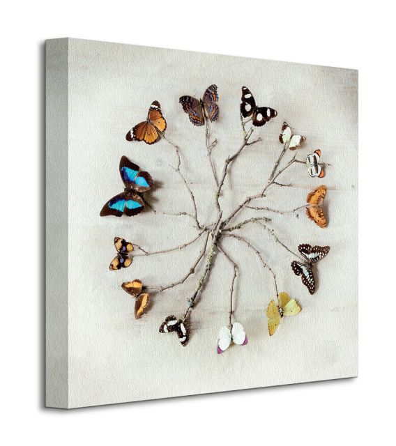 Perspektywa obrazu na płótnie przedstawiającego artystycznie ułożone motyle i gałązki