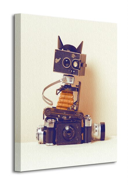 perspektywa obrazu na płótnie przedstawiającego kota zrobione ze starych aparatów fotograficznych
