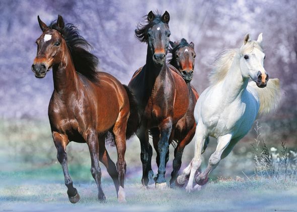 Galopujące konie autorstwa boba langrisha