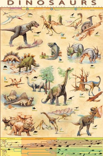 plakat edukacyjny z dinozaurami