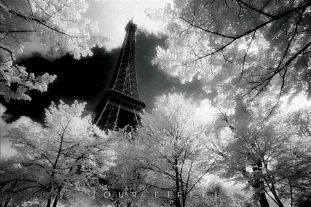 Wieża Eiffel - plakat Davida Nortona 91,5x61 cm