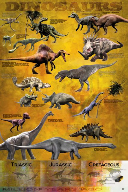 plakat edukacyjny dla dzieci z rodzajami dinozaurów