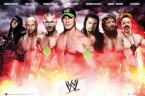 plakat WWE Collage 2014