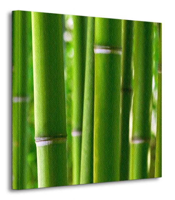 Mały obrazek na ścianę bambusowy zielony las
