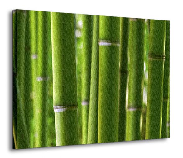 Duży obraz na płótnie z zielonym lasem bambusowym