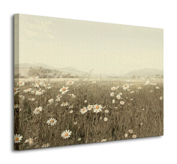obraz łąka z białymi kwiatami na płótnie 80x60