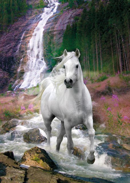 plakat z białym koniem biegnącym przy wodospadzie