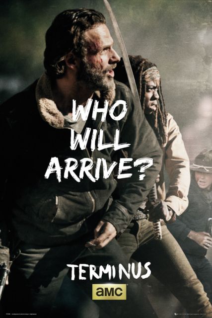 plakaty z serialu The Walking Dead Rick and Michonne Survive
