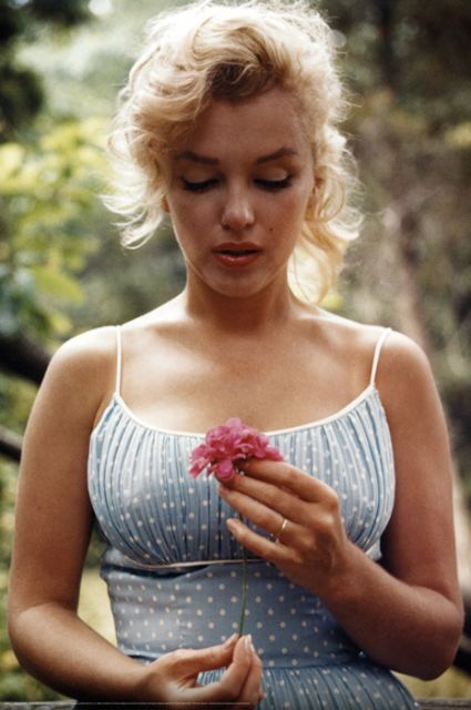 Marilyn Monroe - Różowy Kwiat - plakat 61x91,5 cm