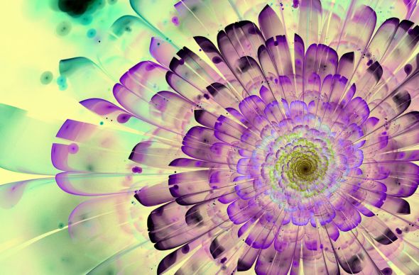 kwiat Musnięty fioletem - fototapeta