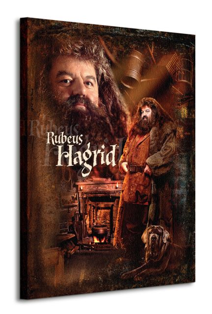 Obraz 60x80 ukazuje postać Rubeusa Hagrida