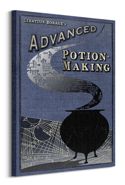 Harry Potter (Potion Making) - Obraz