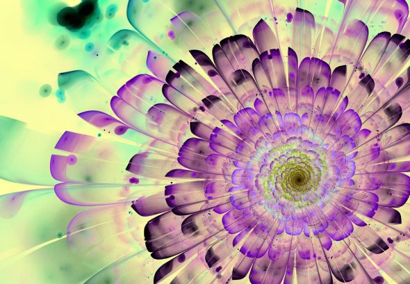 graficzny kwiat Musnięty fioletem - fototapeta