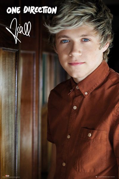 Portret Nialla Horana z boys bandu One Direction