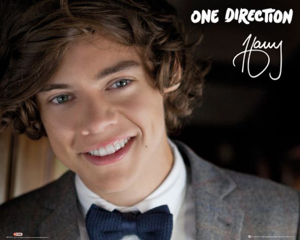 Harry Styles z One Directions w garniturze i muszce