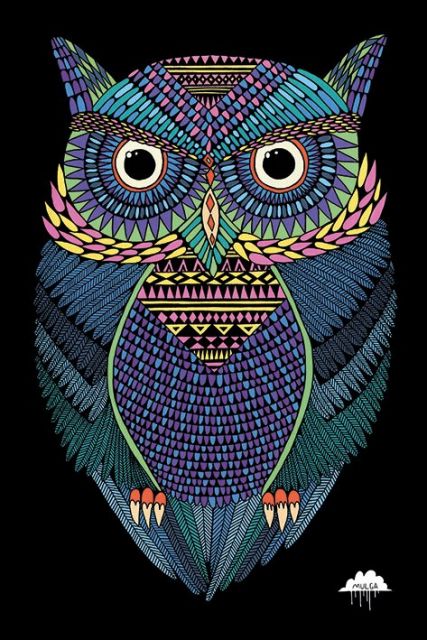 Plakat z Magiczną kolorową sową autorstwa Joela Moora Mulga