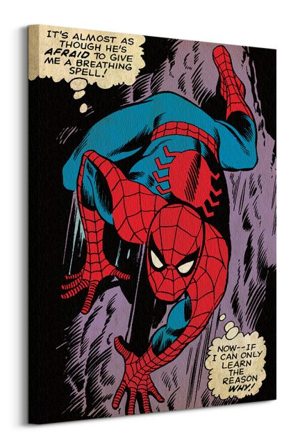 Spiderman (Reason Why) - Obraz