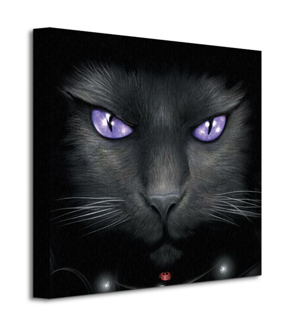 Obraz na płótnie przedstawia czarne kota