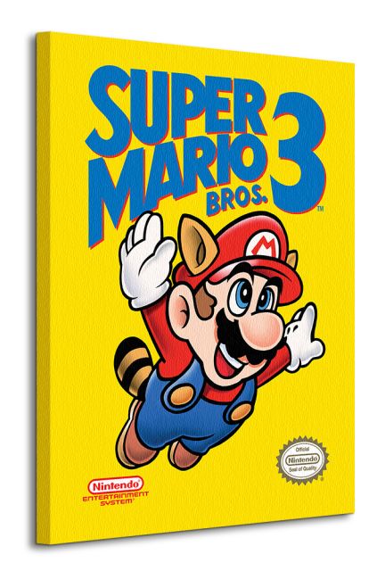 Obraz 60x80 przedstawia latającego Mario Bros