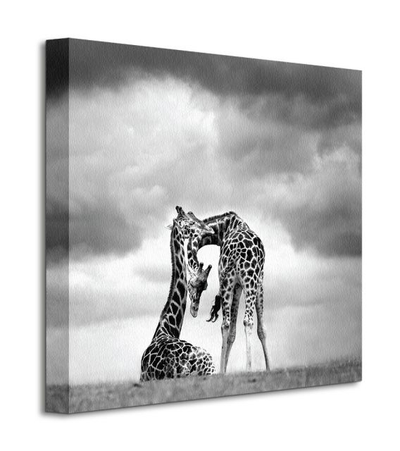 Perspektywa obrazu na płótnie przedstawiającego dwie żyrafy