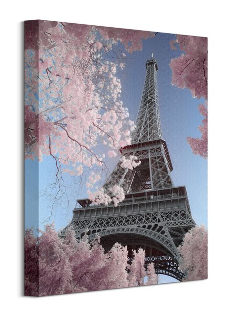 Obraz autorstwa David Clapp zatytułowany Eiffel Tower Infrared, Paris o wymiarach 30x40 cm