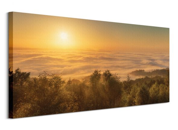 Obraz autorstwa David Clapp zatytułowany Mist Over The River Exe, Devon, England o wymiarach 100x50 cm