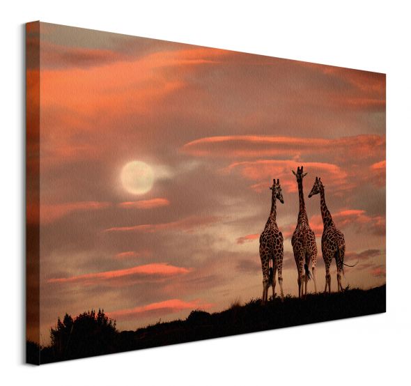 Moonrise Giraffes - obraz na płótnie