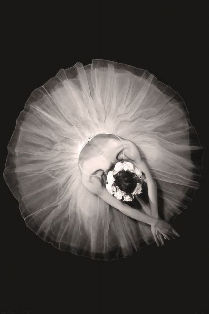 Czarno-biała fotografia balleriny z kwiatami wpiętymi we włosach