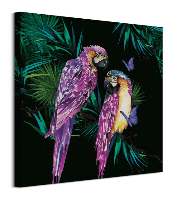 Parrots - obraz na płótnie o wymiarach 60x60 cm