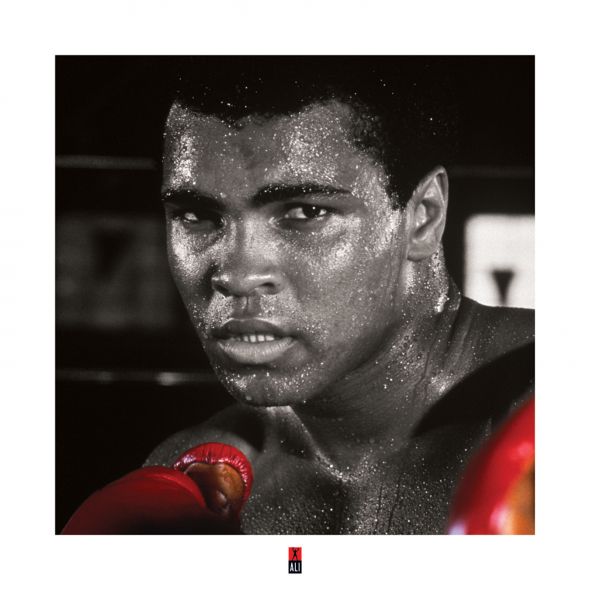 Reprodukcja z walecznym Muhammadem Ali z czerwonymi bokserskimi rękawicami