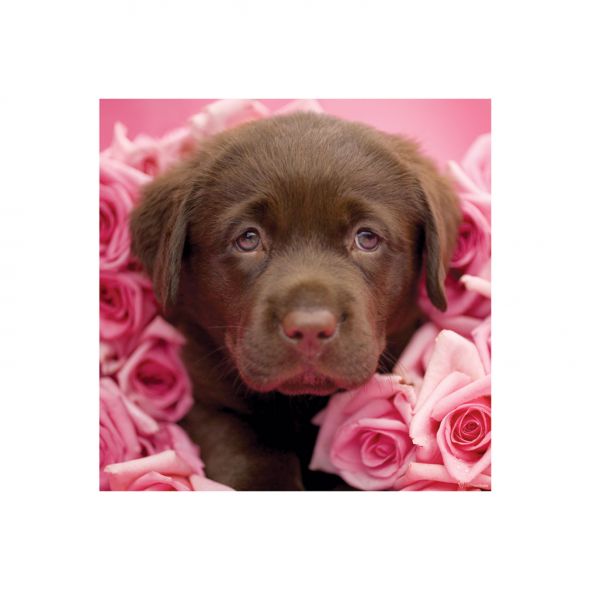 Reprodukcja z małym psem wśród różowych róż
