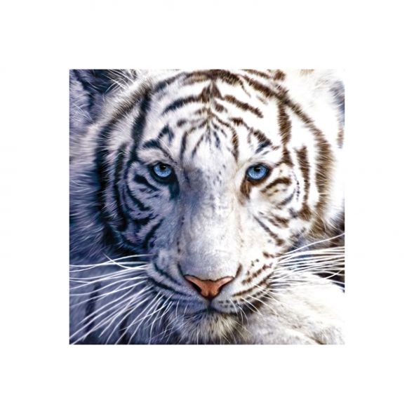 Reprodukcja przedstawiająca białego tygrysa