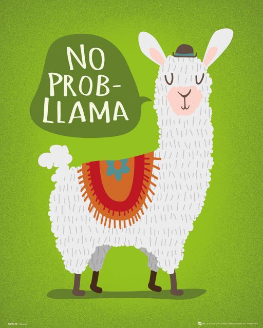 Llama No Probllama - plakat z Lamą do powieszenia na ścianie