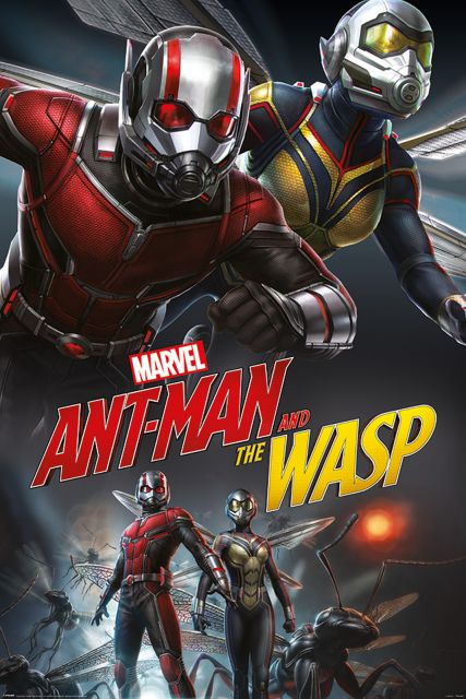 Ant-Man i Osa, Dynamic - plakat 61x91,5 cm