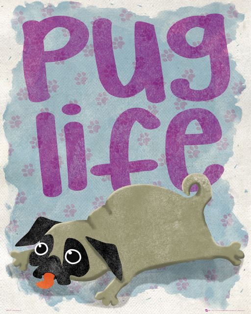 Plakat z napisem Pug Life i pieskiem