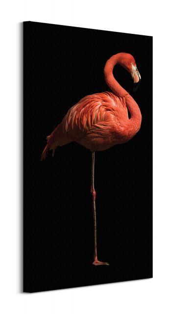 Flamingo I - obraz na płótnie 30x60 cm