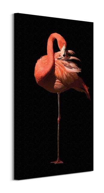 Flamingo II - obraz na płótnie 30x60 cm