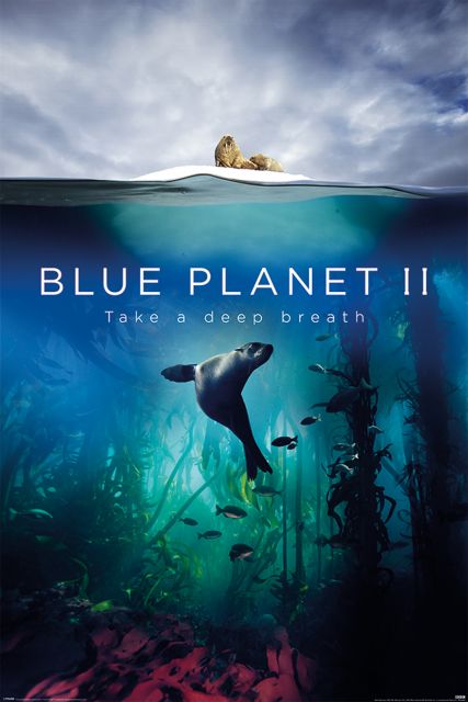 Blue Planet 2 Take A Deep Breath - plakat 61x91,5 cm
