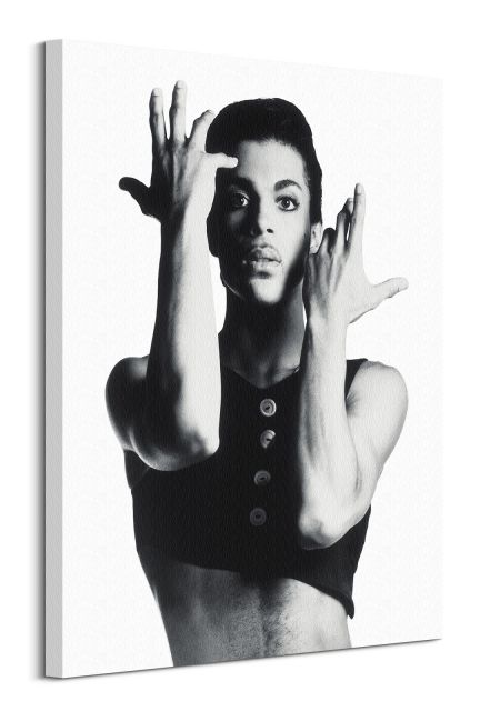 Obraz na płótnie z albumu Prince'a Parade