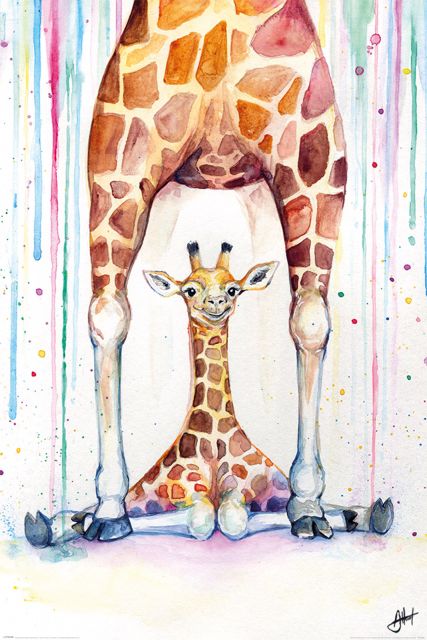 Kolorowe Żyrafy - plakat