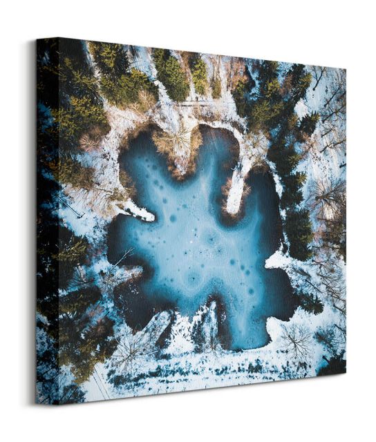 Zimowe jezioro - obraz na płótnie