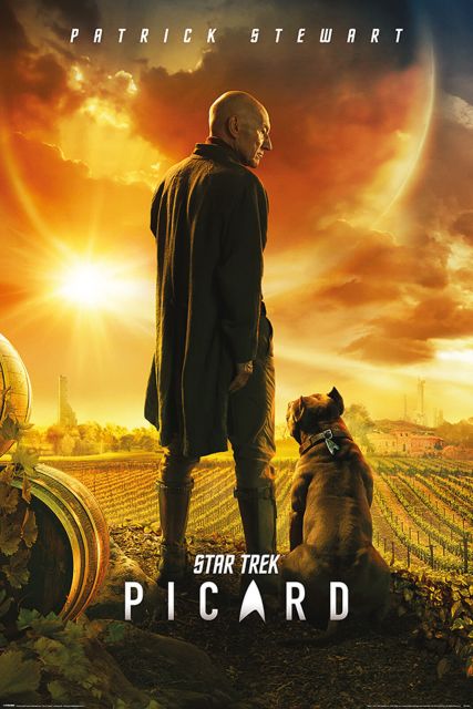 Star Trek Picard Number One - plakat