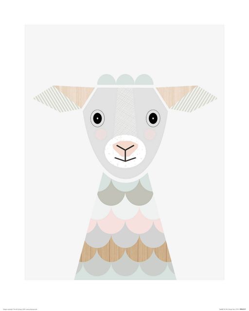 Lamb - reprodukcja